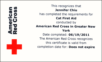 American Red Cross cat first aid certification for Jennifer Chiu