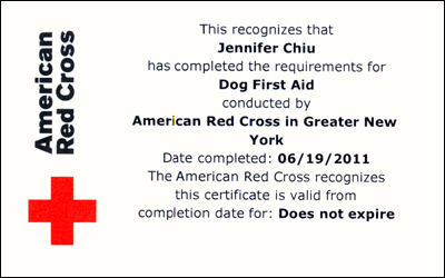 American Red Cross dog first aid certification for Jennifer Chiu